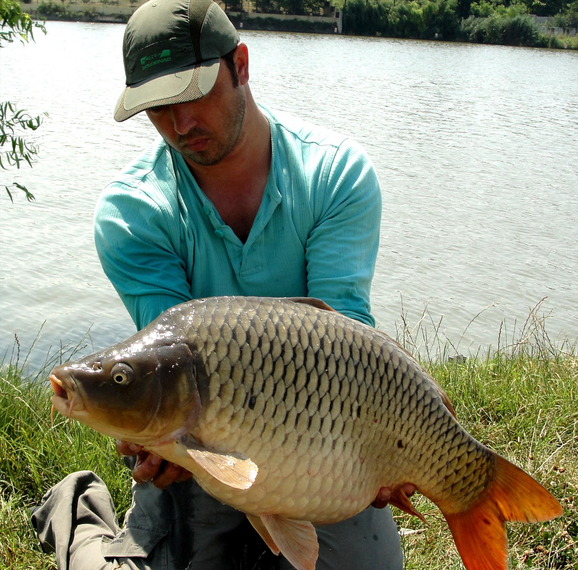 Moara Vlasiei 2 14 - 15 august 2014 - dsc04443.JPG